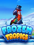 สล็อต แจก ทดลองเล่น คุ้มค่าน่าลองจาก Joker Gaming